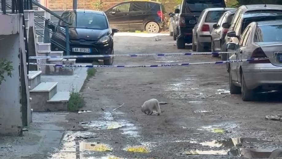 Hidhet nga pallati një grua në Vlorë, humb jetën