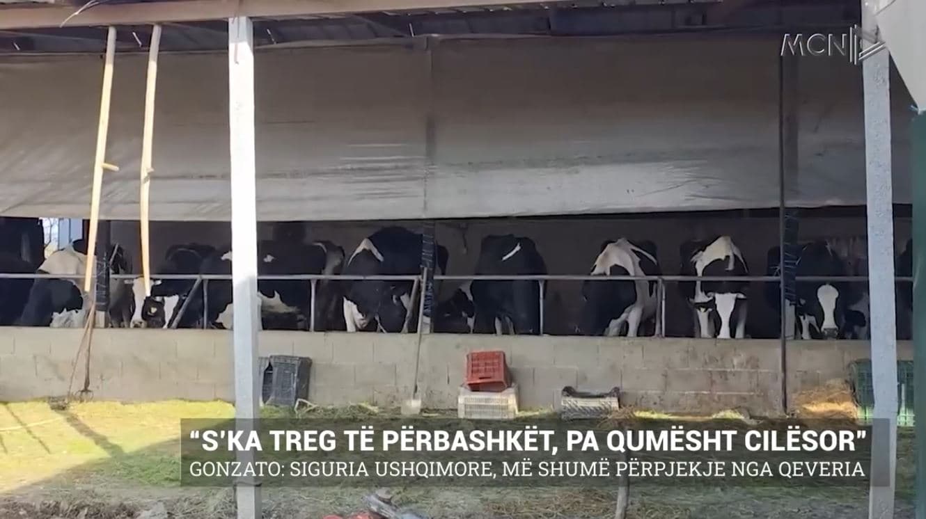 Gonzato: Siguria ushqimore, më shumë përpjekje nga qeveria