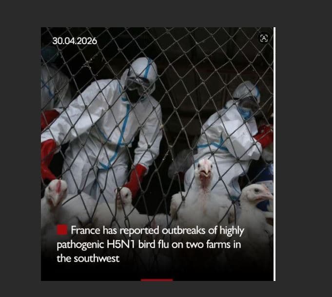 Franca raporton shpërthime të gripit të shpendëve H5N1 në dy ferma në jugperëndim