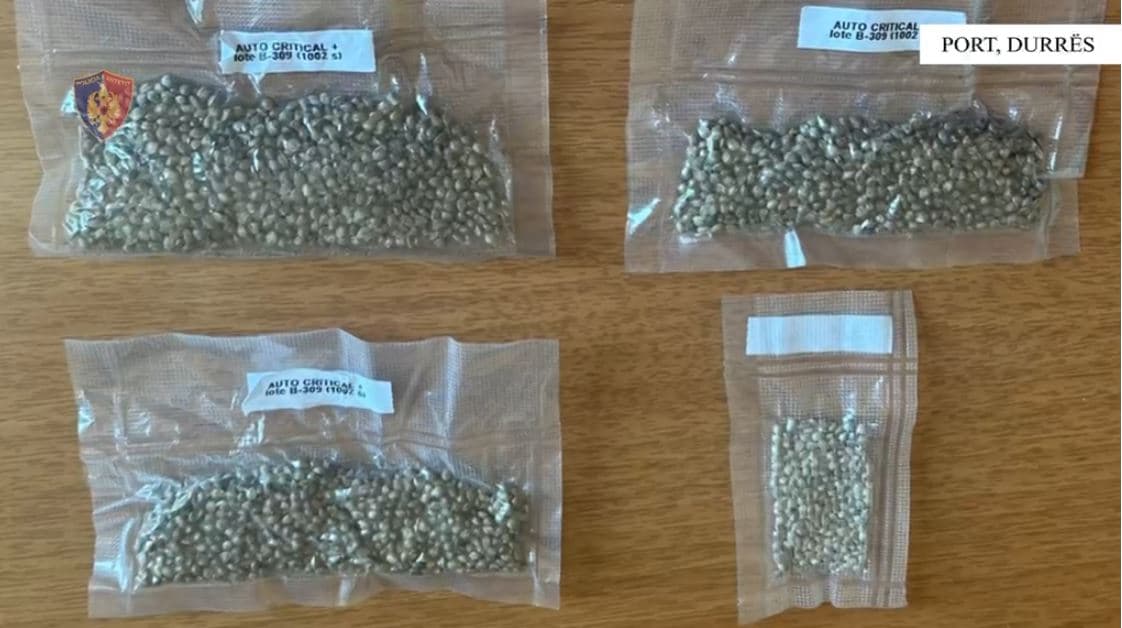 Tenton të fusë në Shqipëri mijëra fara kanabis, arrestohet një person në portin e Durrësit