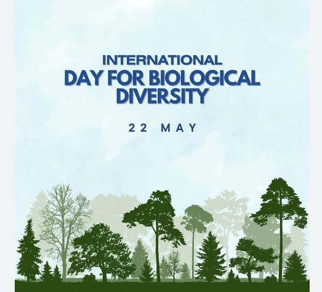 22 maj, Dita Botërore e Biodiversitetit