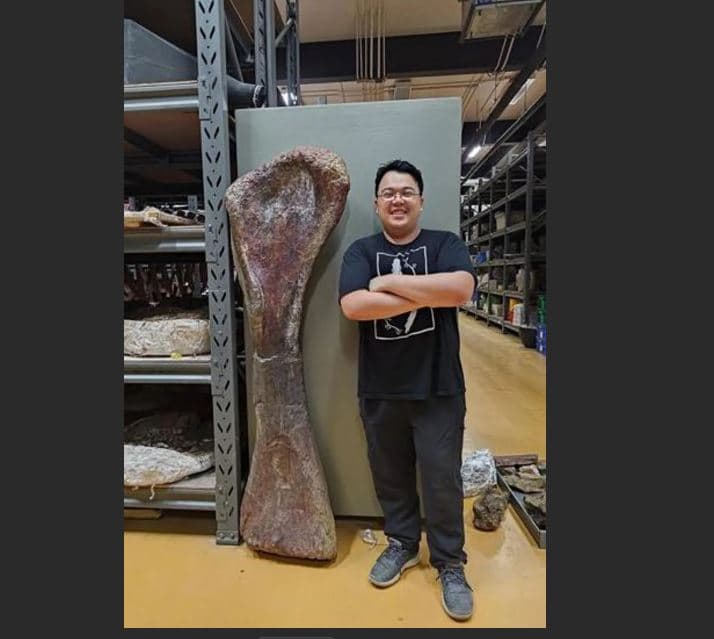   Dinosauri i ri gjigant identifikohet nga fosilet e gjetura në Tajlandë