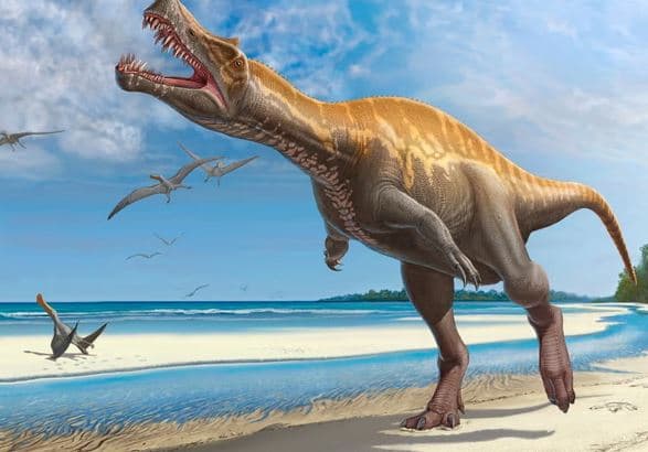 Pas 30 vitesh debat, kafka 113 mln vjeçare e dinosaurit rikthehet në Brazil