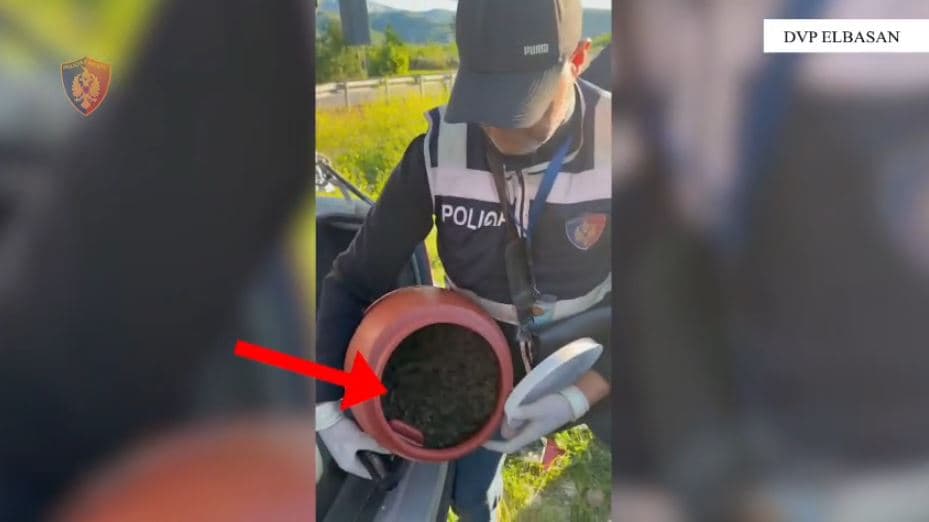 Policia deklaratë për operacionin antidrogë në Elbasan: 16 të arrestuar dhe 8 në kërkim