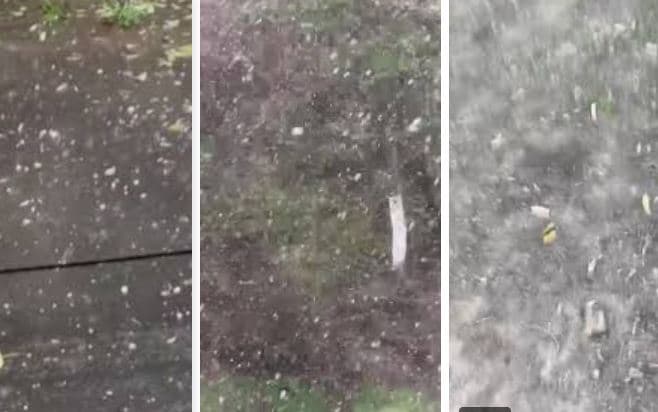 Situata në përkeqësim/ Shiu në Jakarta rezulton i ndotur me mikroplastika të rrezikshme (Video)