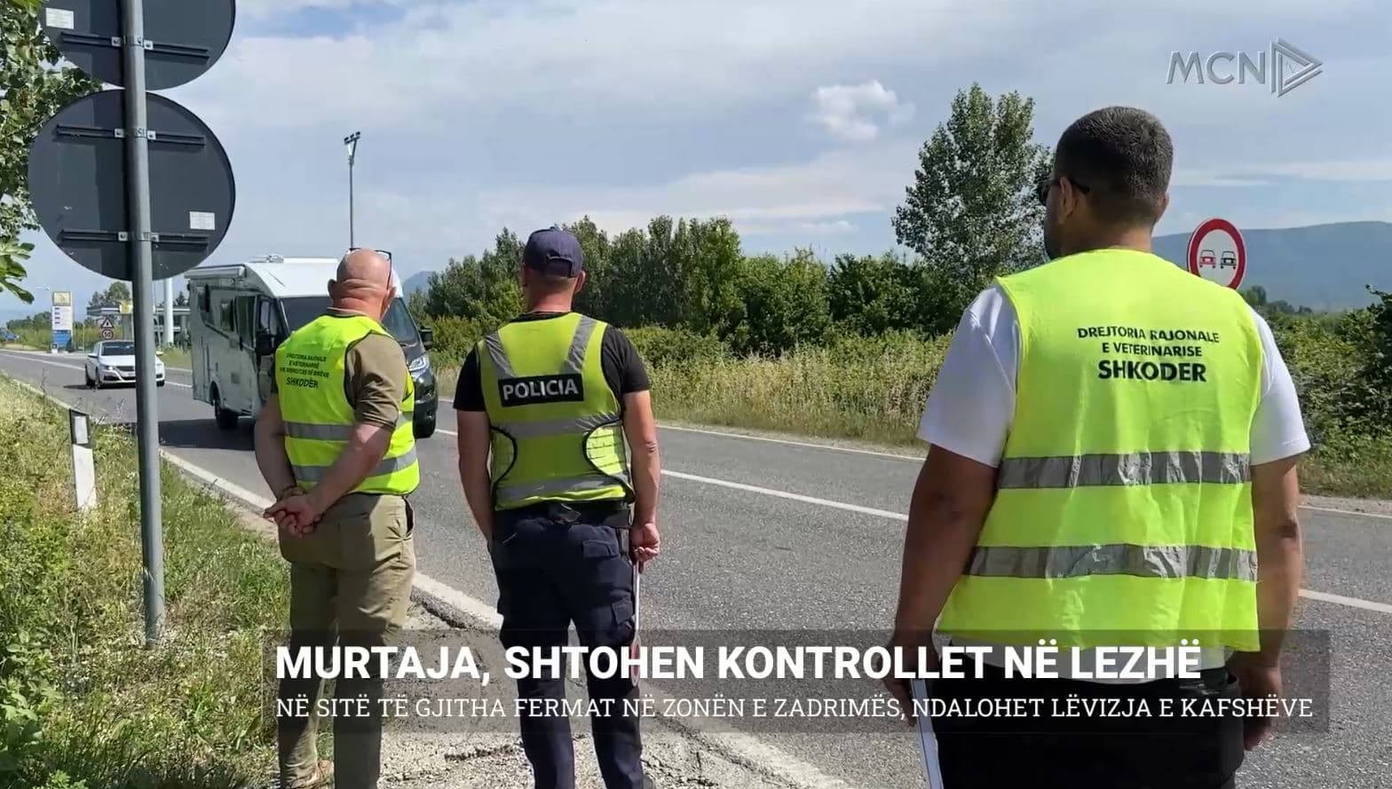 Murtaja, shtohen kontrollet në Lezhë/ Në sitë të gjitha fermat në zonën e Zadrimës, ndalohet lëvizja e kafshëve (VIDEO)