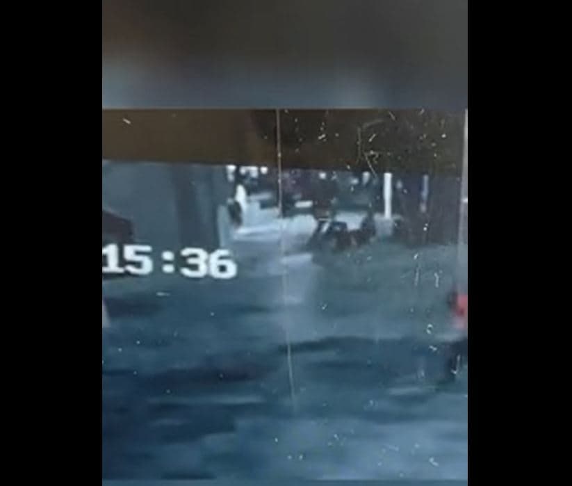 (Pamjet) Momenti kur autori i maskuar i zë pritë dhe dhunon drejtorin e AKU-së në Shkodër
