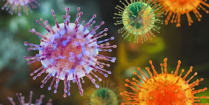 Hantavirusi, OBSH: Do të ketë raste të mëtejshme, por nuk ka shenja për shpërthim epidemik