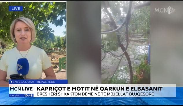 Kapriçot e motit godasin Elbasanin, Duka: Breshëri shkatërron të mbjellat e stinës, dëme dhe në bagëti