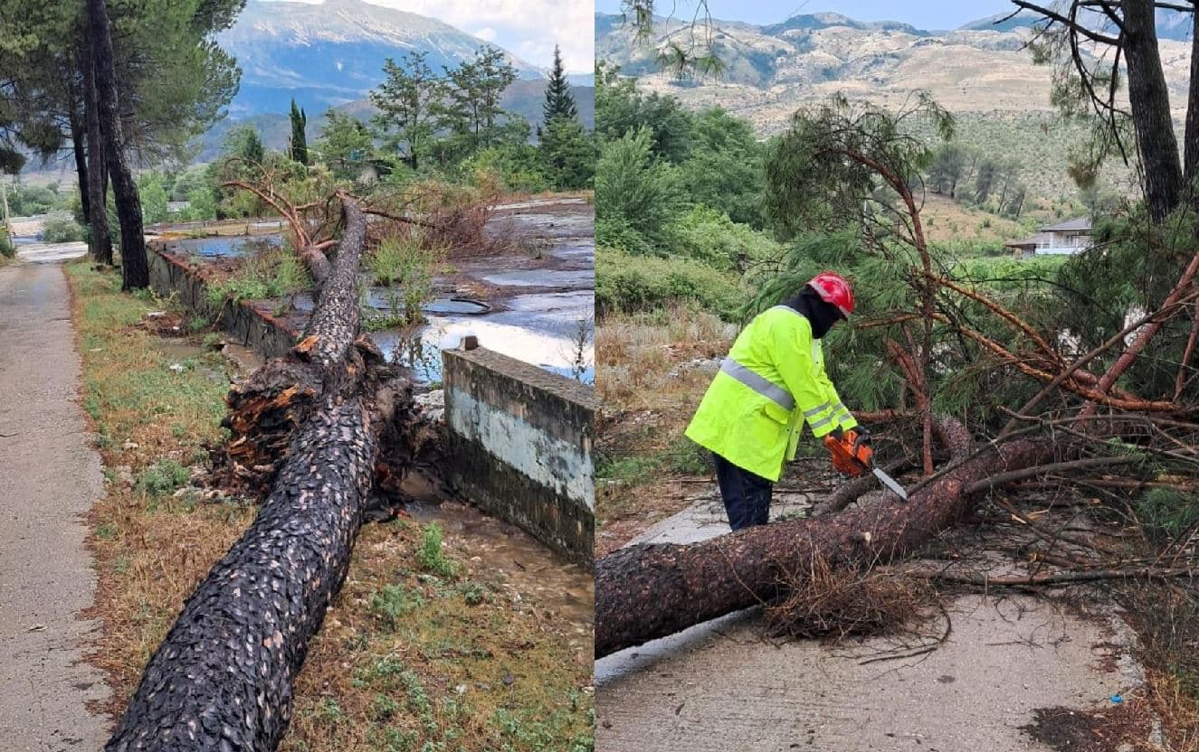 Gjirokastër, stuhia e fuqishme rrëzon pemë dhe bllokon rrugë 