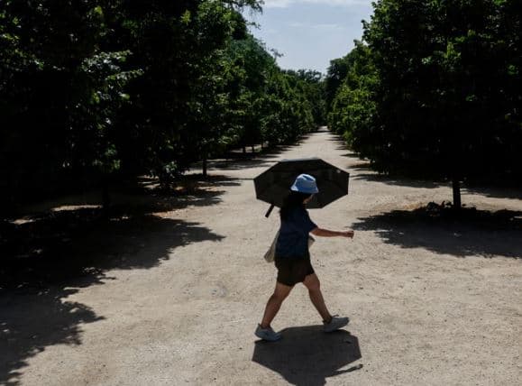 Temperaturat rekord në Evropë, 212 viktima në Spanjë dhe 5 në Itali