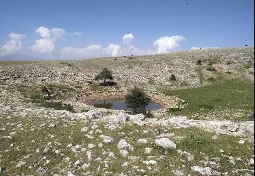 Goditet nga rrufeja në mal, humb jetën 68-vjeçari në Përmet 