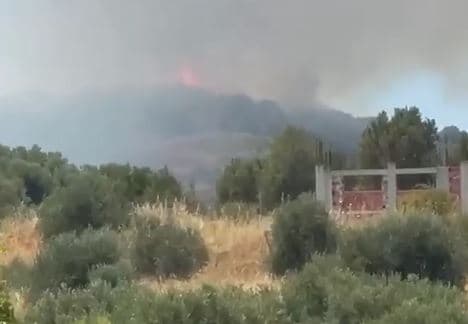 Zjarr në Llakatund, flakët përhapen me shpejtësi nga era e fortë 
