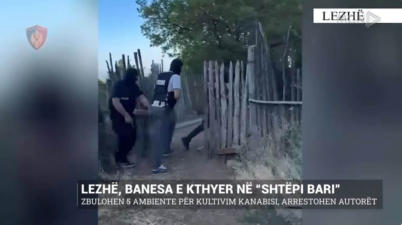 Lezhë, banesa - “shtëpi bari”. Zbulohen 5 ambiente për kultivim kanabisi, arrestohen autorët
