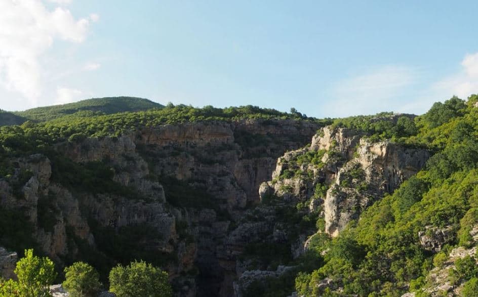 Ndryshimet ligjore për zonat e mbrojtura/ 50 organizata letër me 4 pyetje Komisionit Europian
