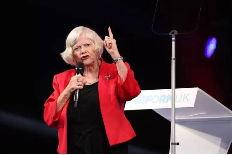 Mister për vrasjen e aktivistes së Brexit-it, Ann Widdecombe