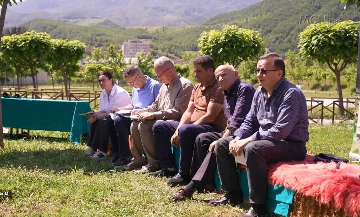 “Duam subvencionim nga shteti”. Blegtoria në Elbasan: Jemi duke shkuar drejt falimentit