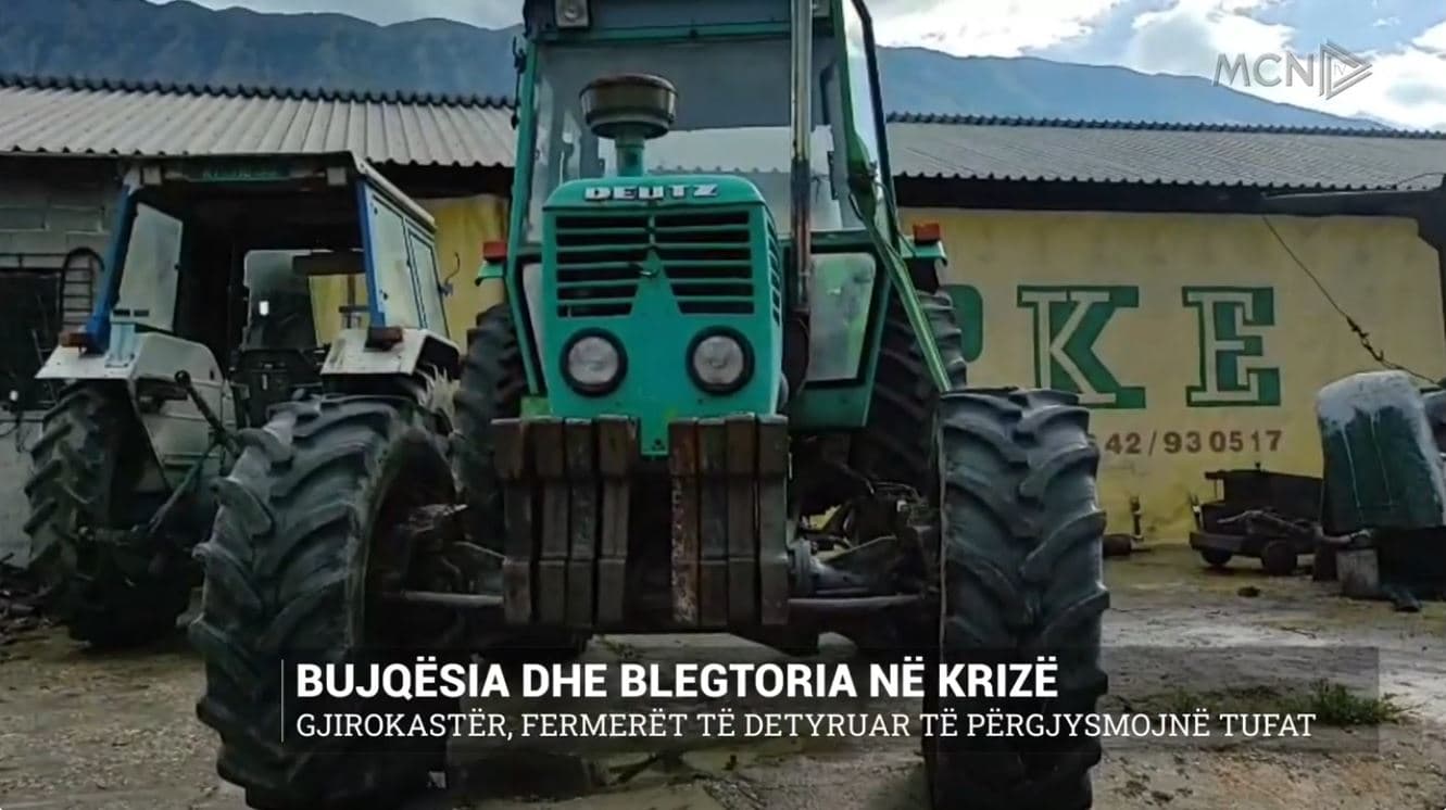 Bujqësia dhe blegtoria në krizë. Gjirokastër, fermerët të detyruar të përgjysmojnë tufat
