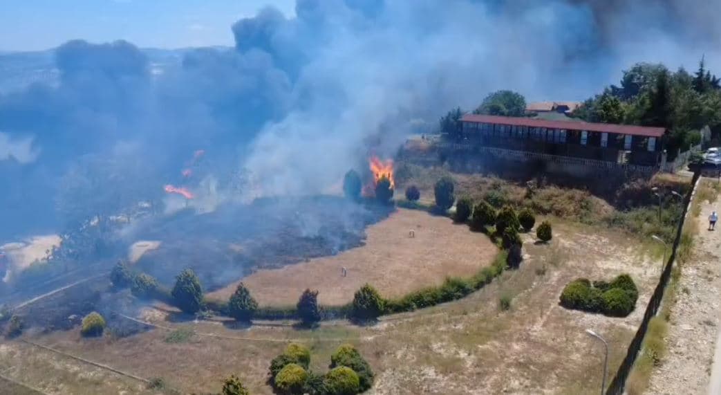 Zjarr në një ullishte në Fier, flakët rrezikojnë objektet pranë