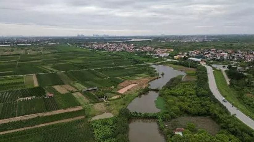 Vietnam, shpronësime për mega-resortin e Trump/ Fermerët detyrohen të lënë tokat dhe varret 