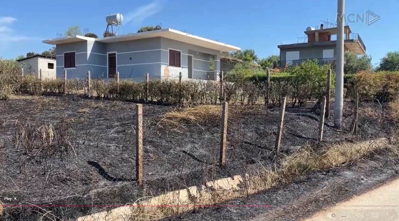 Fier, digjen 110 hektarë ullishte dhe shkurre/ Arrestohet 20-vjeçari që ndezi zjarrin në tokën e tij (VIDEO)