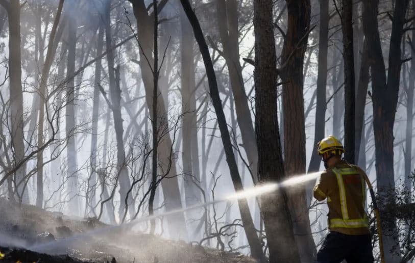 Spanjë/ Zjarri në Los Gallardos merr 12 jetë, temperaturat ekstreme përkeqësojnë situatën