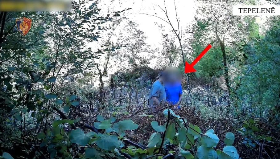 Kishte mbjellë kanabis mes kanioneve në Progonat, arrestohet një person në Tepelenë