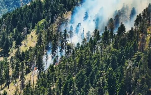 Lamallari: Zjarrvënia kërcënim për jetën dhe pronën, ndëshkimi shkon deri në 15 vite burg