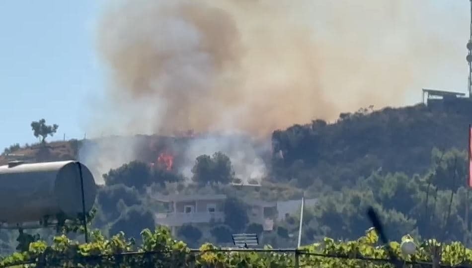 Zjarr në lagjen ‘15 Tetori’ në Vlorë, flakët përfshijnë një hapësirë me pisha e shkurre