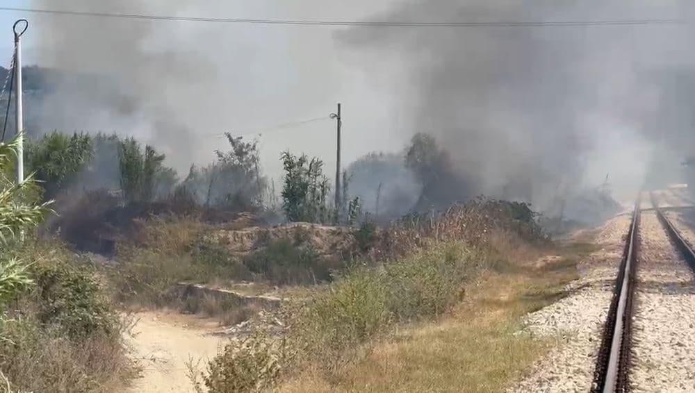 Zjarri në Novoselë afrohet pranë banesave, digjen shkurre, barishte dhe ullinj