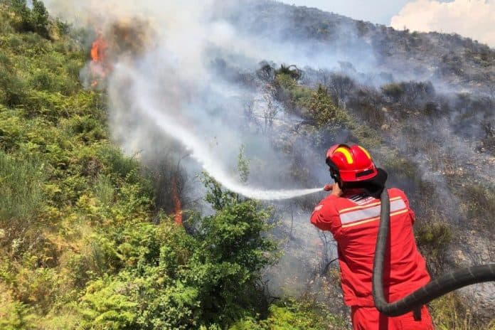 Instituti i Gjeoshkencave: Sot dhe nesër parashikohet rrezik i lartë për zjarre në qarqet Lezhë, Durrës dhe Fier