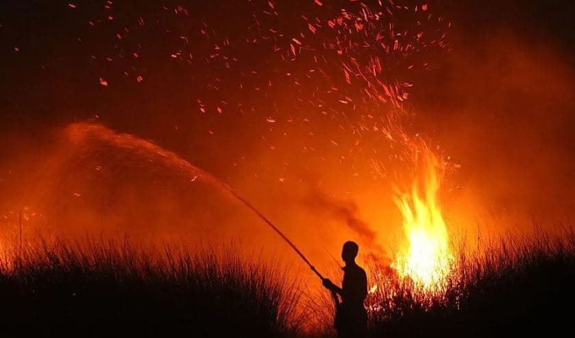 Indonezia në alarm nga zjarret, mbi 107 mijë hektarë tokë të djegur