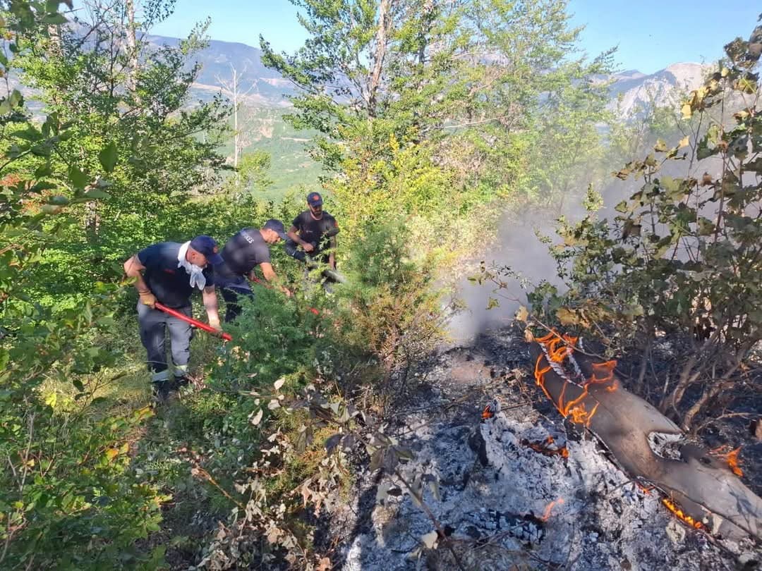 Prej gjashtë ditësh nën flakë, vijon lufta me zjarrin në zonën pyjore të Dardhës në Librazhd