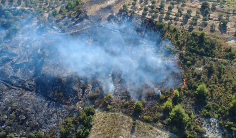 Neutralizohen flakët në Drenovë të Mallakastrës, u dogjën rreth 10 hektarë me ullinj dhe shkurre