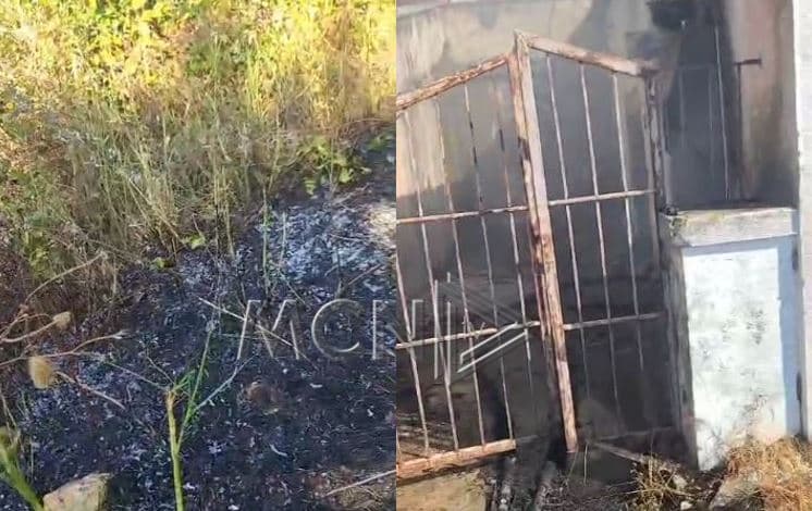 Flakët përfshijnë zonën pranë Ujit të Ftohtë në Vlorë, rrezikohet kabina e ujësjellësit