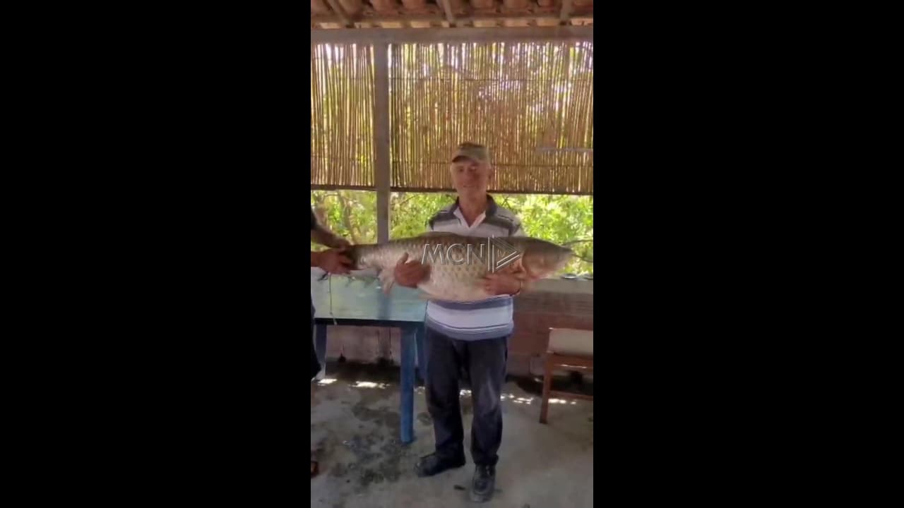 Krapi gjigant prej 21.5 kilogramësh kapet në lumin Vjosa nga një peshkatar