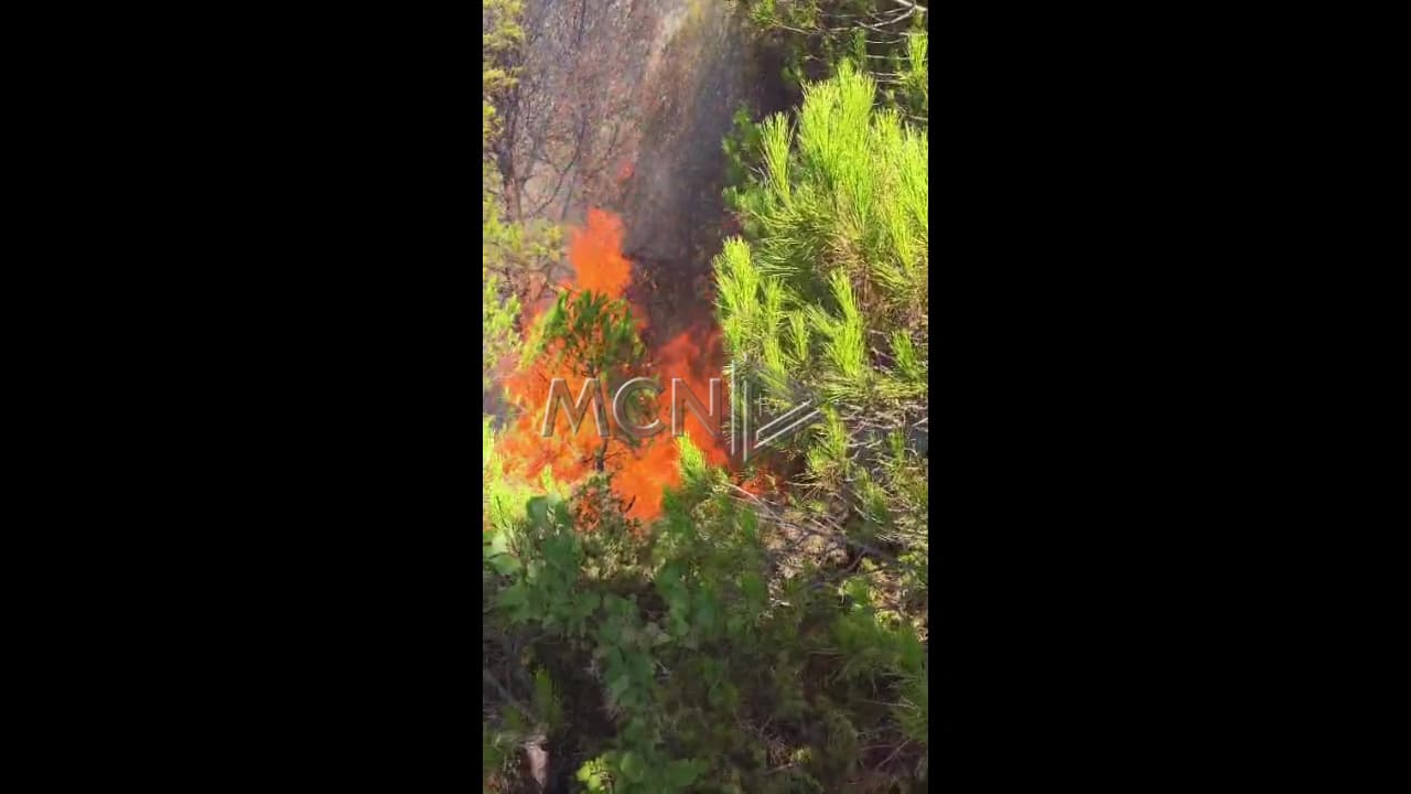 Zjarr në Rriban të Mallakastrës, flakët përfshijnë zonën pyjore