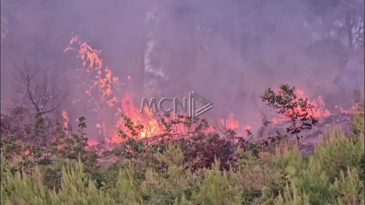 Zjarri në Mallakastër del jashtë kontrollit, flakët kalojnë edhe rrugën e Panahorit