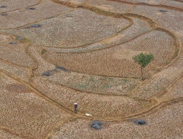 'El Niño' parashikohet të shkaktojë 450 mijë vdekje në gjashtë muajt e ardhshëm