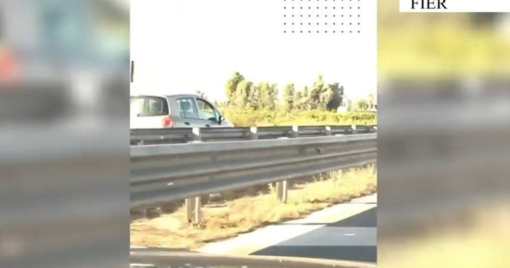 Lëvizte në sens të kundërt në aksin Fier-Lushnjë, gjobë dhe 2 vite pezullim patente për shoferin