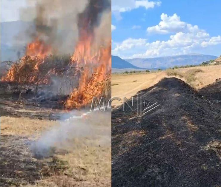      Digjen sipërfaqe me shkurre dhe barishte në fshatin Arshi Lengo të Gjirokastrës 