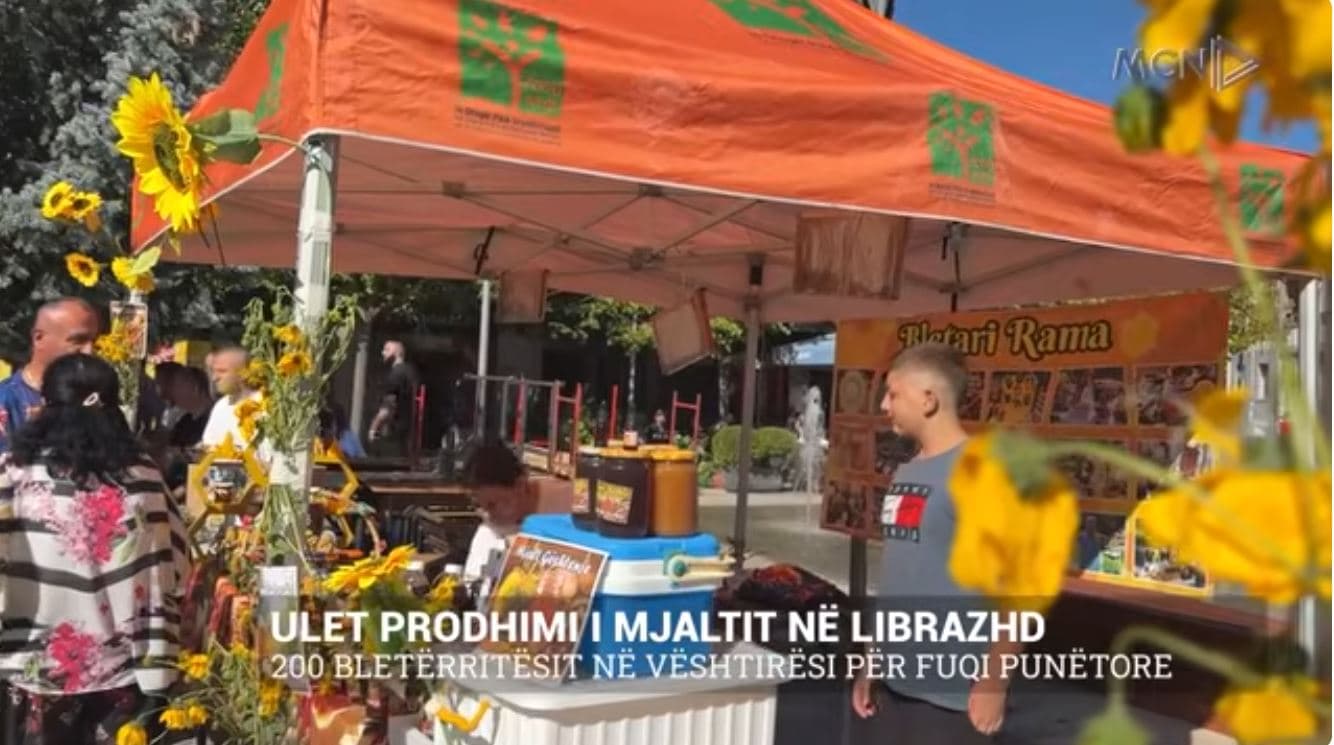 Ulet prodhimi i mjaltit në Librazhd/ 200 bletërritësit në vështirësi për fuqi punëtore (VIDEO)