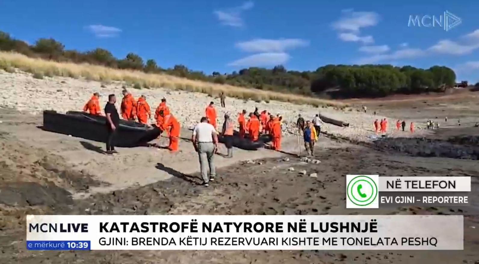Ngordhja e tonelatave me peshq në rezervuarin e Kasharajt, Gjini: Nën hetim privati që e shfrytëzonte për rritjen e rasatit