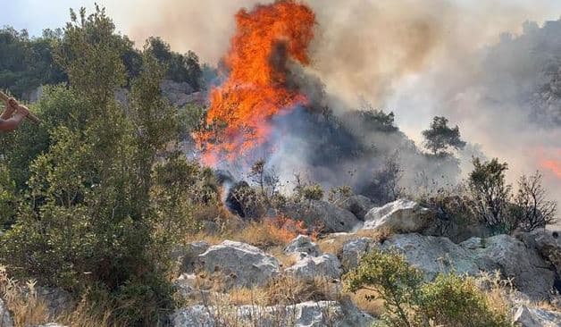 14 vatra zjarri aktive, zonat ku flakët janë problematike 
