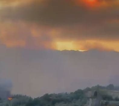 Zjarr në Belsh/ Flakët rrezikojnë banesat dhe ullishtet, era favorizon përhapjen
