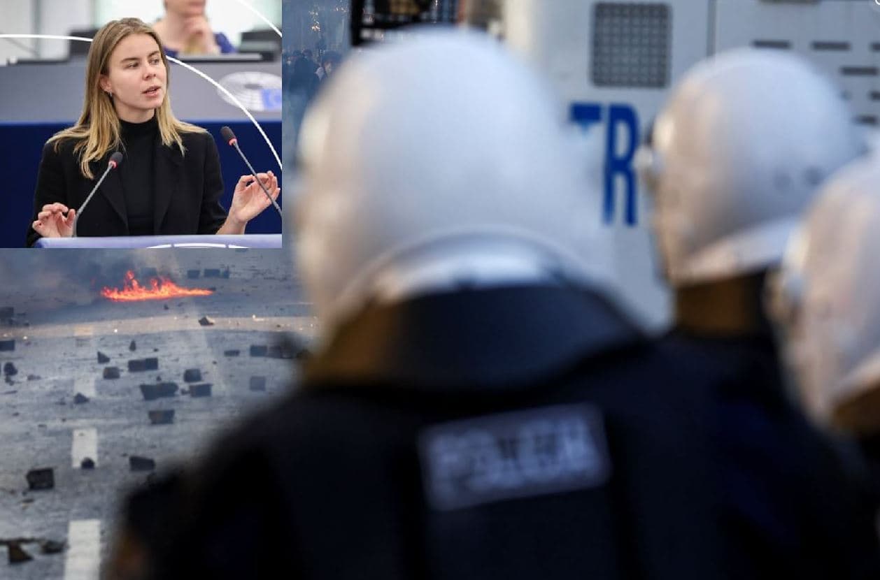 Protestat, eurodeputetja gjermane: Rama është shkaktari i çdo gjëje
