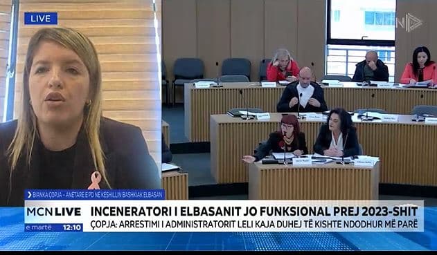Inceneratori i Elbasanit, Çopja: Skemë e pastër vjedhjeje, Leli Kaja duhet të ishte arrestuar më herët