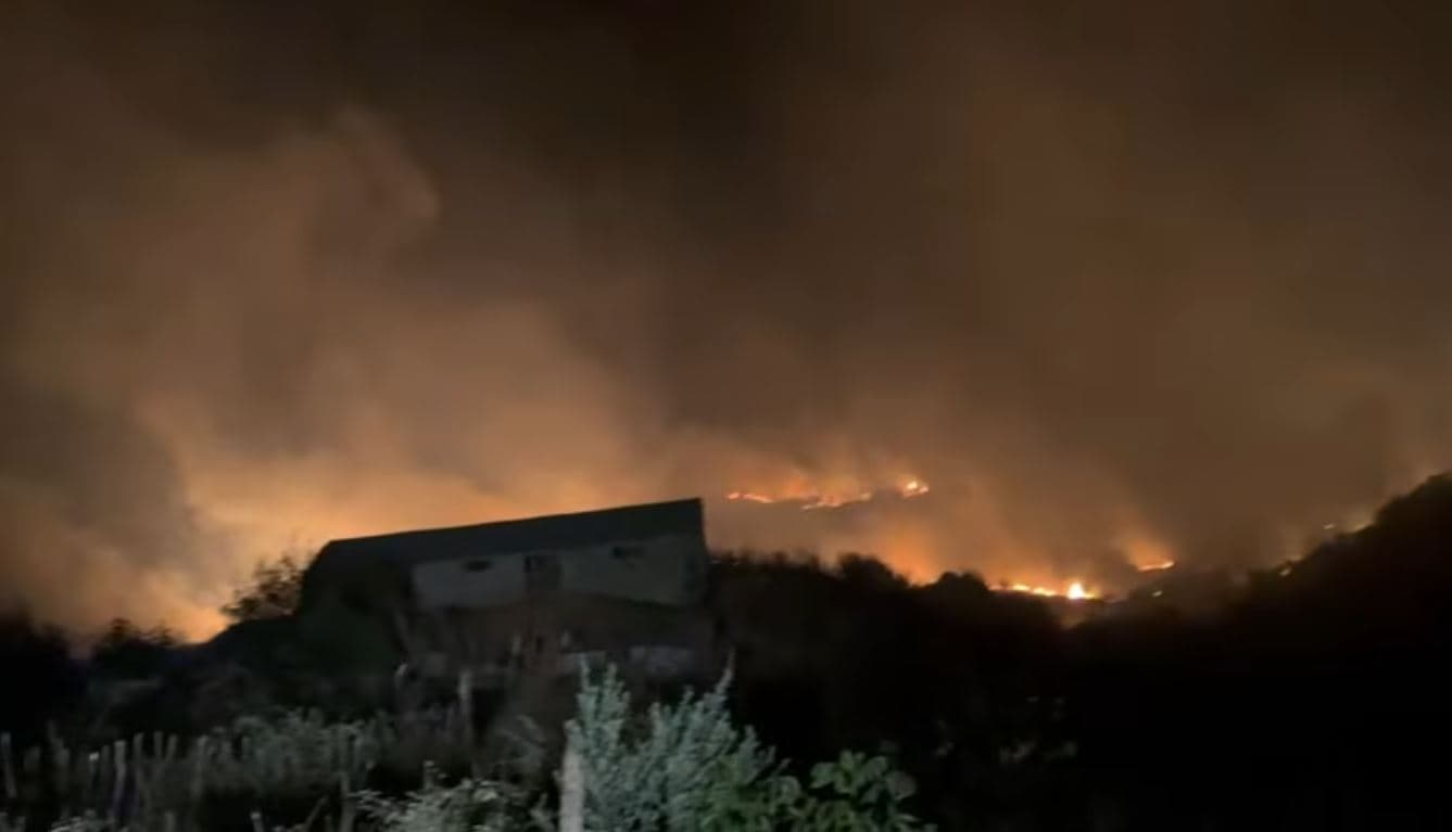 Zjarr masiv në Kotë të Selenicës, flakët u afrohen banesave