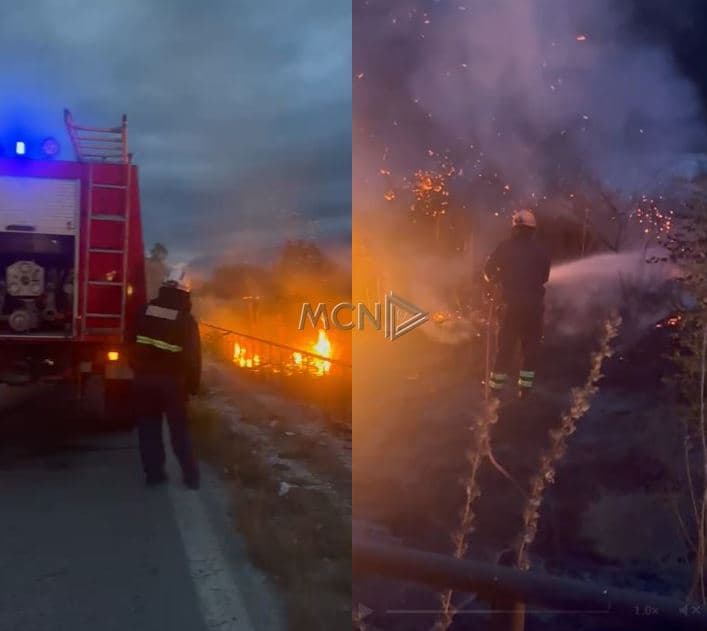   Vatër zjarri në afërsi të Liqenit të Viroit, ndërhyrja e zjarrfikësve shuan zjarrin në kullota