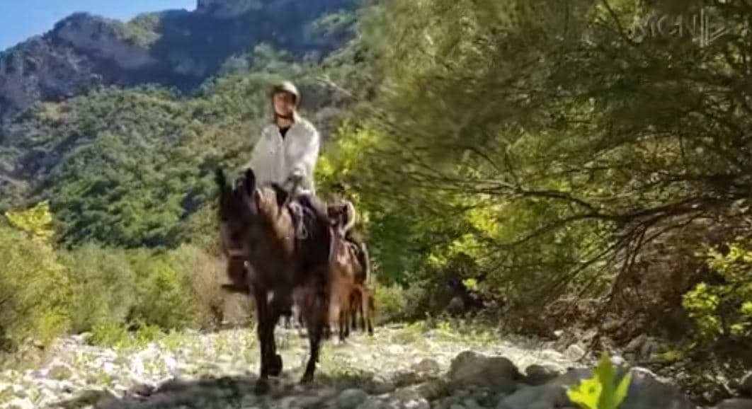 Gjirokastra mbi kalë/ Pasurohet oferta turistike e qytetit të gurtë (VIDEO) 